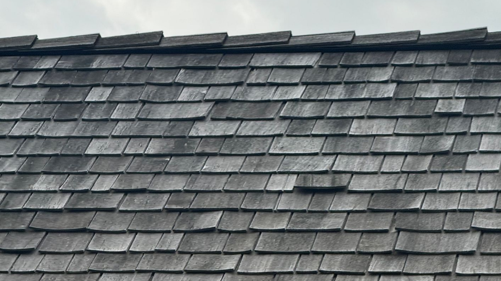 Roof leak mold timeline showing stages of mold growth and attic damage caused by untreated roof leaks in Missouri homes