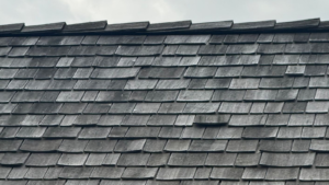 Roof leak mold timeline showing stages of mold growth and attic damage caused by untreated roof leaks in Missouri homes