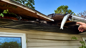 Roof edge damage Washington MO showing warning signs homeowners should check